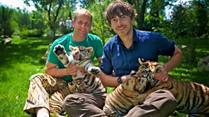 Incredible Journeys With Simon Reeve - Series 1: Episode 3