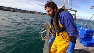 Cornwall: This Fishing Life - Series 2: Episode 4