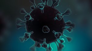 Horizon - 2021: Coronavirus Special - What We Know Now