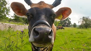 Countryfile - Community Farm, Herefordshire