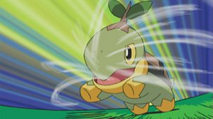 Pokémon: Diamond And Pearl - Series 10: 37. The Grass Menagerie!