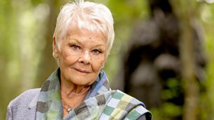 Who Do You Think You Are? - Series 18: 2. Dame Judi Dench