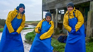 The Nine To Five With Stacey Dooley - Series 3: 2. The World Is Your Oyster