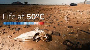 Life At 50°c - Special