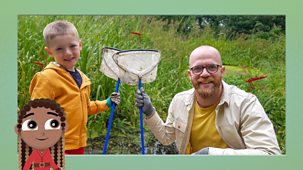 Ferne And Rory’s Teeny Tiny Creatures - Chantelle And Rory: 9. Dragonflies