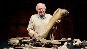 Attenborough And The Mammoth Graveyard - Episode 06-01-2022