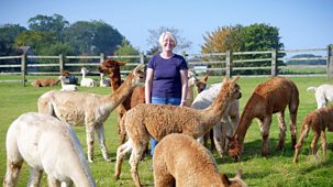 The Farmers' Country Showdown - Series 6: 8. Westmorland County Show