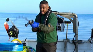 The Apprentice - Series 16: 4. Fishing