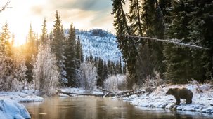 Earth's Great Rivers Ii - Series 1: 3. Yukon