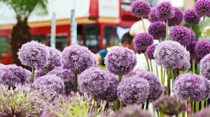 Rhs Chelsea Flower Show - 2022: Highlights