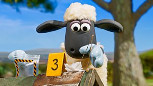 Shaun The Sheep - Series 6: 2. Csi Mossy
