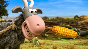 Shaun The Sheep - Series 6: 10. Get Your Goat