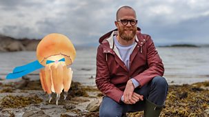 Ferne And Rory’s Teeny Tiny Creatures - Series 3 - Chantelle And Rory: 14. Jellyfish