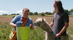 Something Special - We're All Friends: Series 13: 10. Alpacas