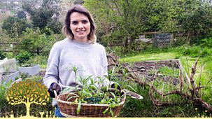 Gardeners' World - 2023: Episode 12