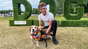 Blue Peter - Glastonbury And Henry's Doggy Festival