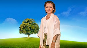 Who Do You Think You Are? - Series 20: 9. Lesley Manville