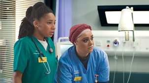 Casualty - Series 37: 41. Dog Days