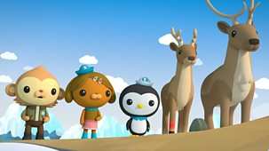 Octonauts: Above & Beyond - Series 1: 2. Land Of Fire And Ice