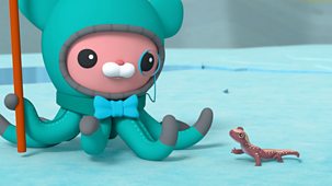 Octonauts: Above & Beyond - Series 1: 5. Siberian Salamander