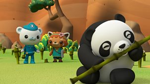 Octonauts: Above & Beyond - Series 1: 13. Bamboo Rescue