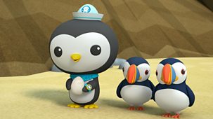 Octonauts: Above & Beyond - Series 1: 24. Puffin Colony