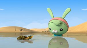 Octonauts: Above & Beyond - Series 3: 1. Pininga Turtle