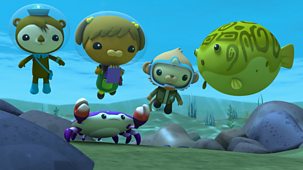 Octonauts: Above & Beyond - Series 3: 20. Missing Shell
