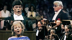 Bernstein On Mahler - Des Knaben Wunderhorn