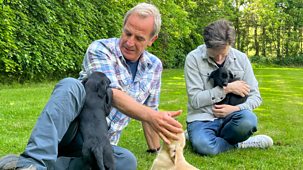 Robson Green's Weekend Escapes - Series 2: 13. Lee Ingleby