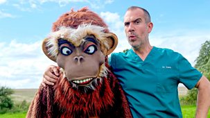 Operation Ouch! - Series 12: 9. Man V Monkey