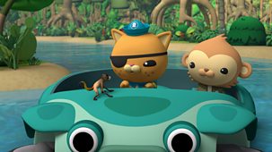 Octonauts: Above & Beyond - Series 4: 7. Boiling River