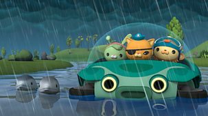 Octonauts: Above & Beyond - Series 4: 18. Lost Bottlenose Dolphins