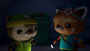 Octonauts: Above & Beyond - Series 4: 25. Mysterious Webs
