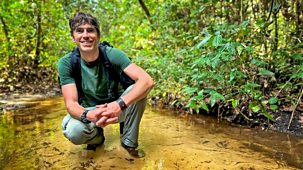 Wilderness With Simon Reeve - Series 1: 1. Congo