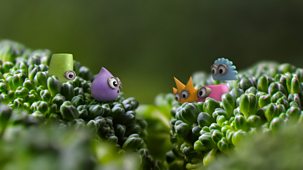 Tiny Wonders - Series 3: 9. Broccoli