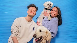 Blue Peter - Pooch Party With Henry The Dog