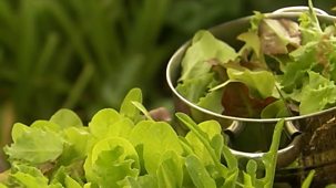 The Edible Garden - 2. Salads