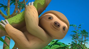 Octonauts: Above & Beyond - Series 2: 10. Pygmy Sloths