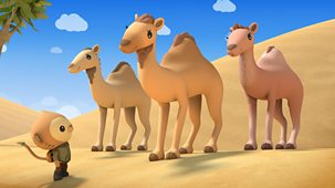 Octonauts: Above & Beyond - Series 2: 20. Arabian Camels