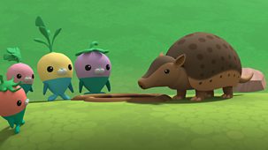 Octonauts: Above & Beyond - Series 2: 19. Quest For Cocoa