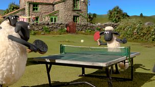 Shaun The Sheep - Championsheeps: 4. Ping Pong