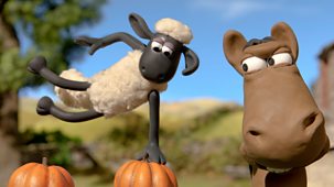 Shaun The Sheep - Championsheeps: 7. Gymnastics