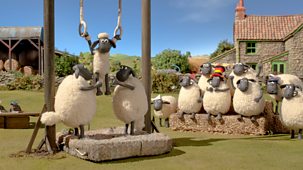 Shaun The Sheep - Championsheeps: 16. Rings