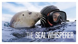 Our Lives - Series 8: 3. The Seal Whisperer