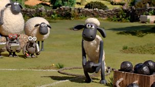 Shaun The Sheep - Championsheeps: 2. Shot Put