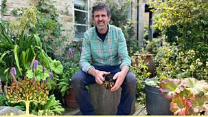 Gardeners' World - 2024: Episode 20