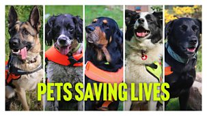 Our Lives - Series 8: 11. Pets Saving Lives