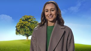 Who Do You Think You Are? - Series 21: 5. Dame Jessica Ennis-hill