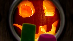 Tiny Wonders - Series 4: 31. Pumpkin